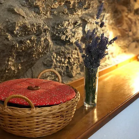 Casa Cal Marquet Dağ evi *